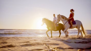 Horseback Riding in Sotogrande Beach