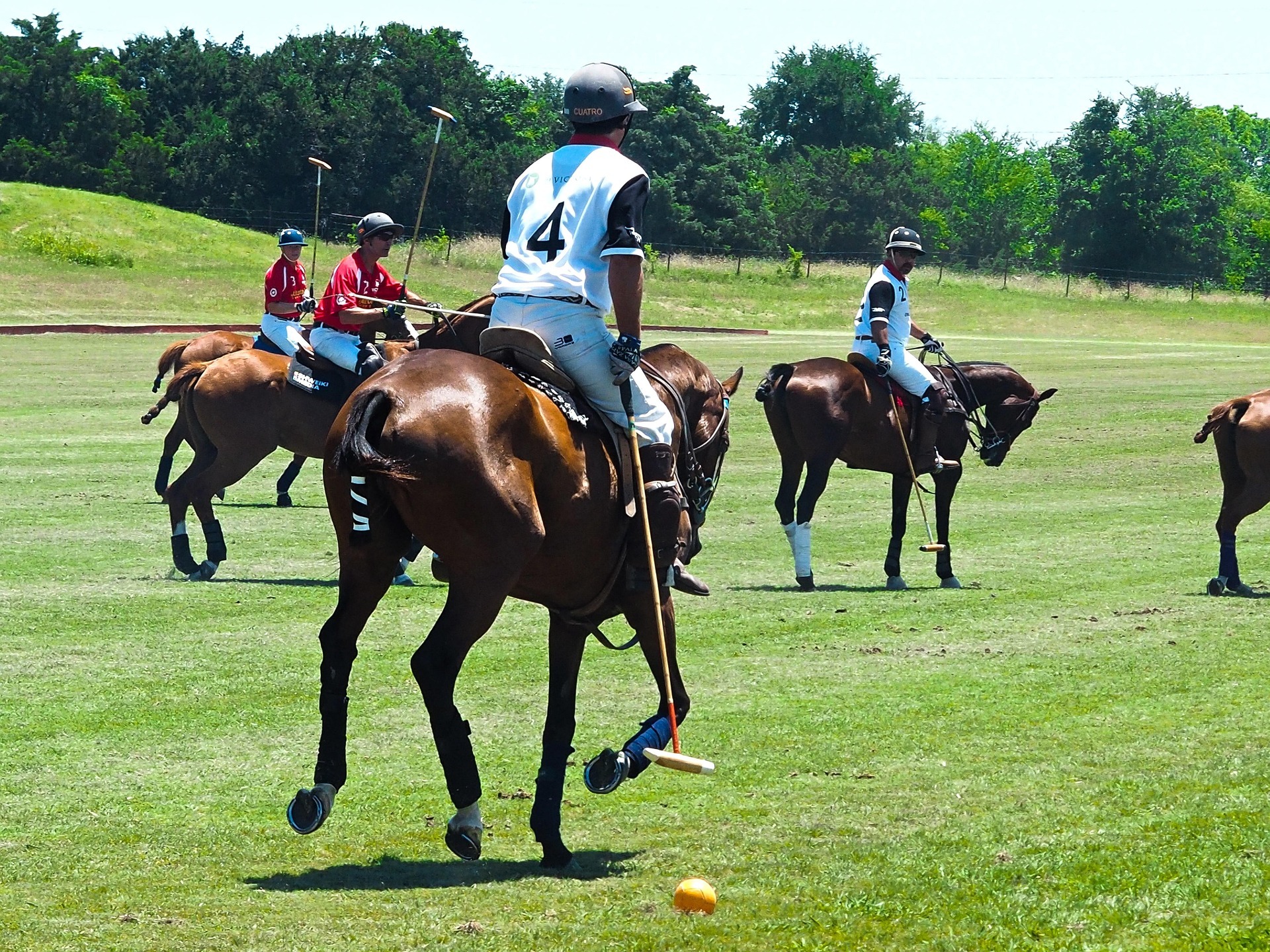 Polo Sotogrande